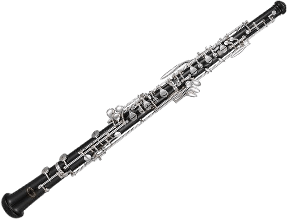 Download - Clarinet Png (600x450)