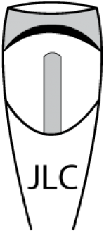 Wine Glass (625x794)