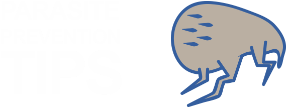 Flea Parasite - Flea Parasite (660x332)