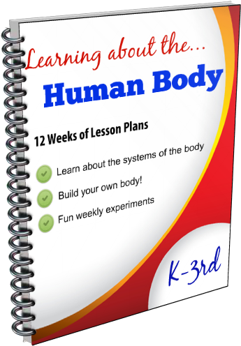12 Week Lesson Plans To Study The Human Body With Students - Parchment Paper For Baking And Healthy Cooking And (503x557)