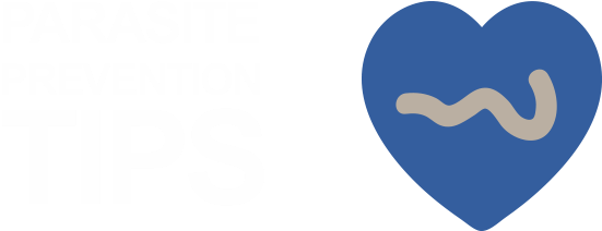 Heartworm Parasite - Heartworm (660x332)