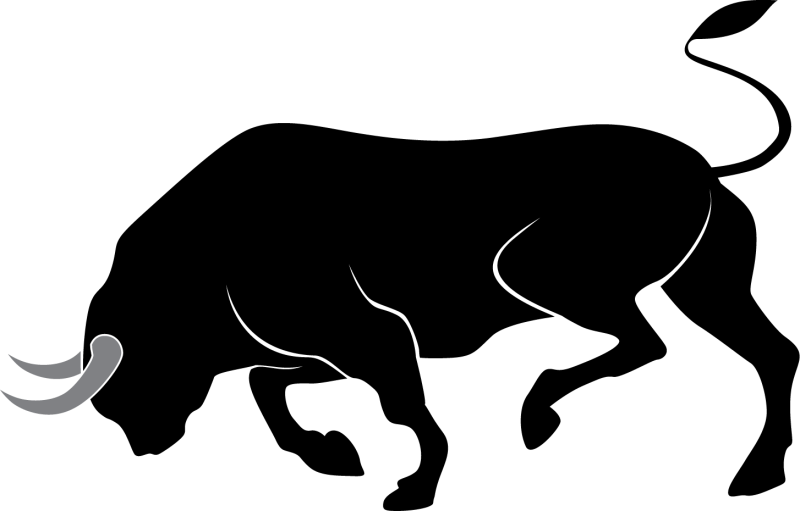 Bull Clipart Png Image - Bull Clipart Png (800x511)