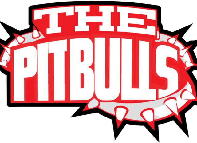 Pit Bull Clipart Christmas - American Pit Bull Terrier (640x480)