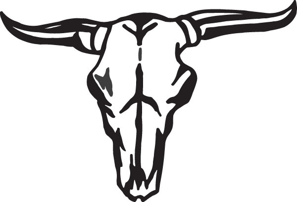 Bull Clipart Male Cow - Texas Longhorn Bull Skull (600x408)