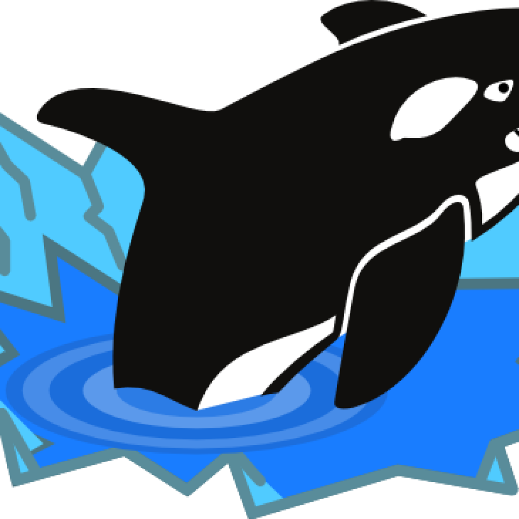 Orca Whale Clip Art Orca Whale Clipart At Getdrawings - Baby Killer Whale Cartoon (1024x1024)