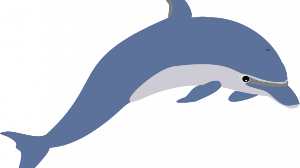 Dolphin Clipart Clip Art Free Panda Images - Dolphins Facts For Kids (585x329)