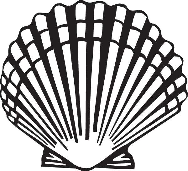 Jpg Free Clam Clipart Scallop - Scallop Clipart (600x544)