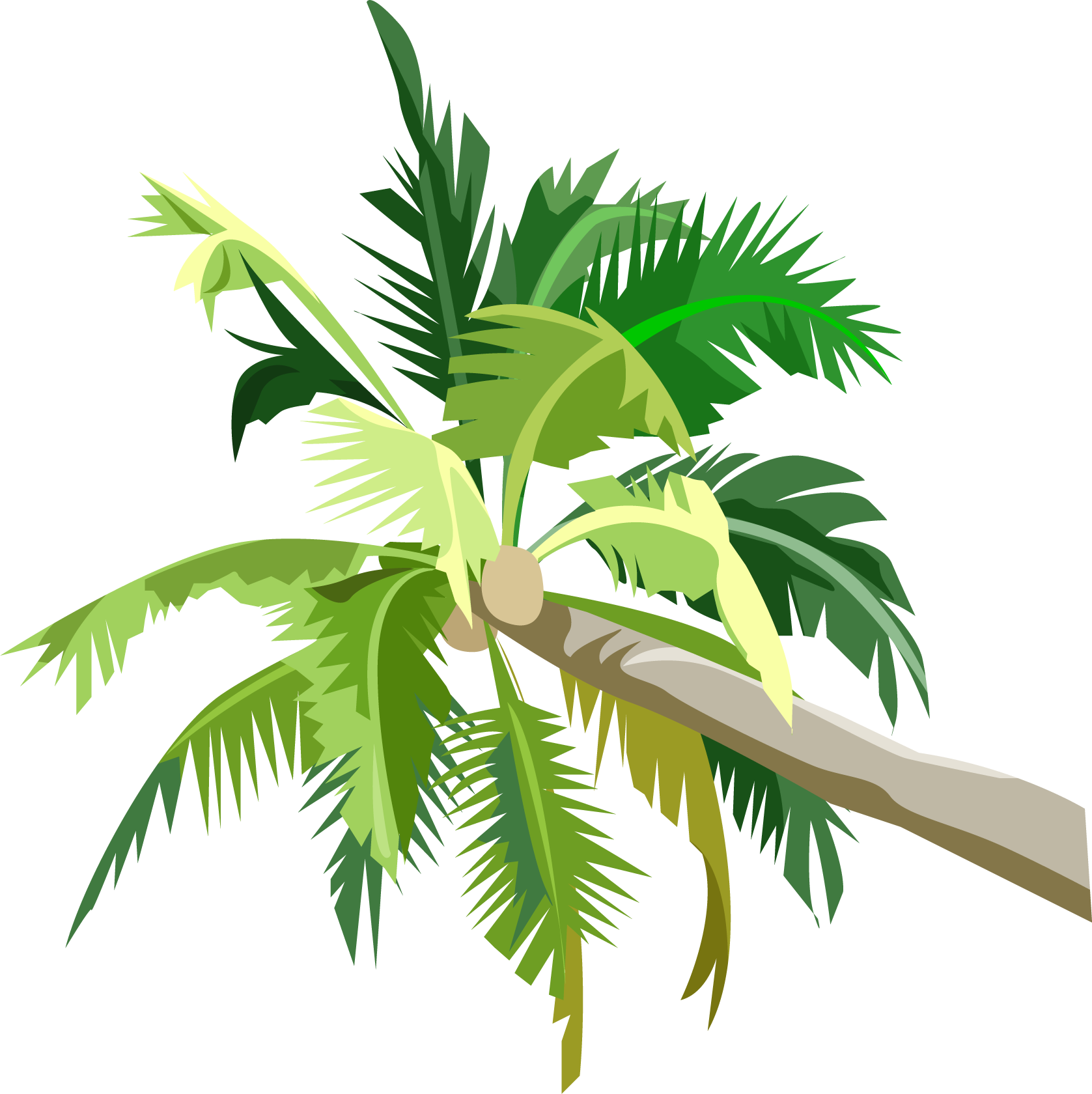 Download Space On Earth - Пальма Пнг (1677x1680)