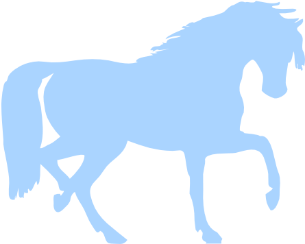 Horse Svg Clip Arts 600 X 402 Px , Png Download - Namık Kemal Üniversitesi Veteriner Fakültesi (600x402)