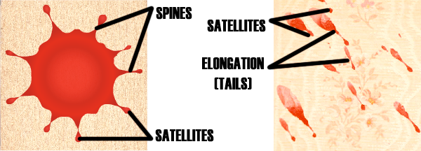 Bloodstain Pattern Analysis Principles Rh Org Blood - Blood Spines (600x216)