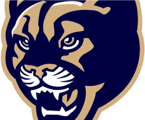 Cougar Clipart Central - Byu Cougar (640x480)