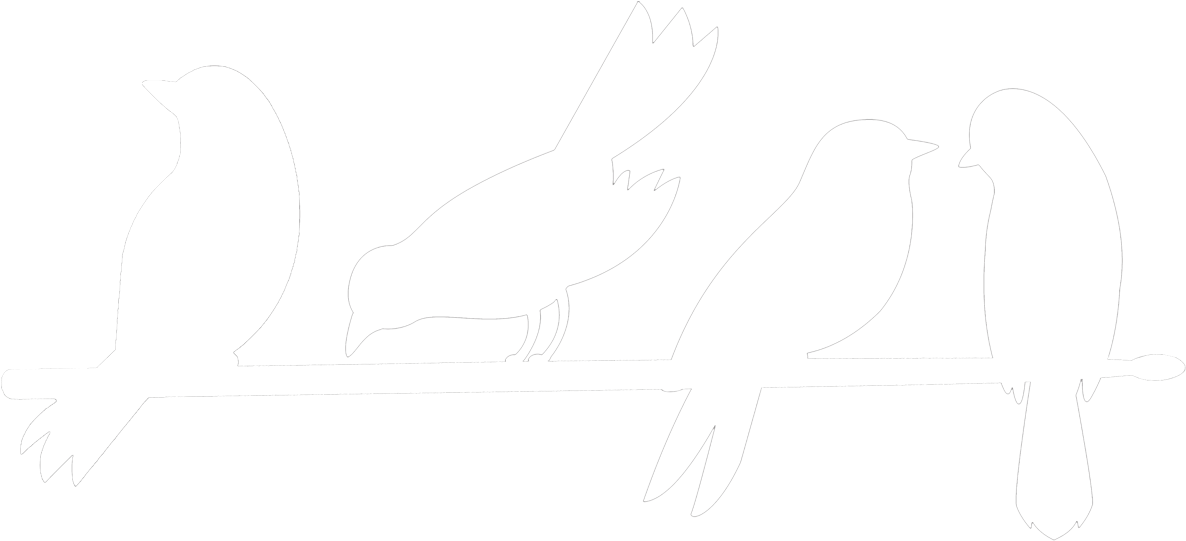 My Friend The Bird - My Friend The Bird (1200x554)