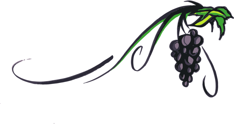 Grapevine Png Transparent Picture - Grape Vines Png (800x424)