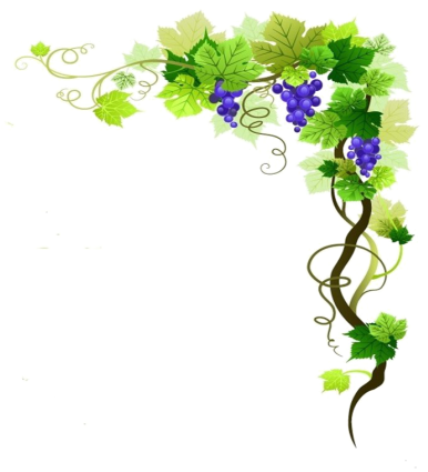 Grapevine Png Transparent Image - Grape Vine Border Png (400x437)