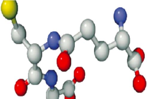 Colored Molecules - Glutathione, Molecular Model - Tile Coaster (580x330)
