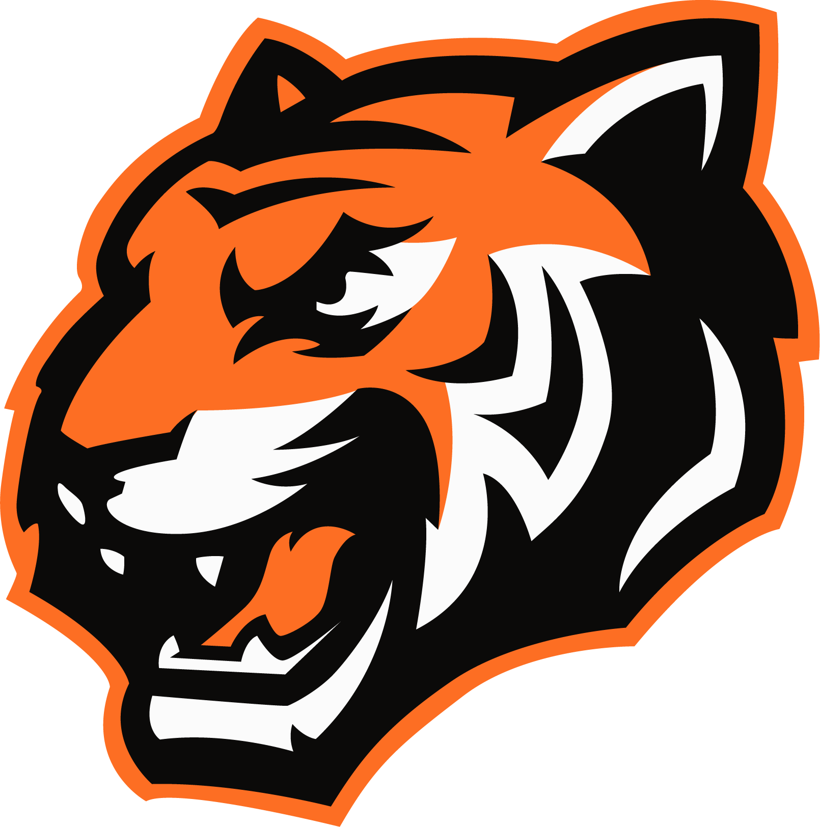 El Paso High School - Tiger Cool Logo (1610x1624)
