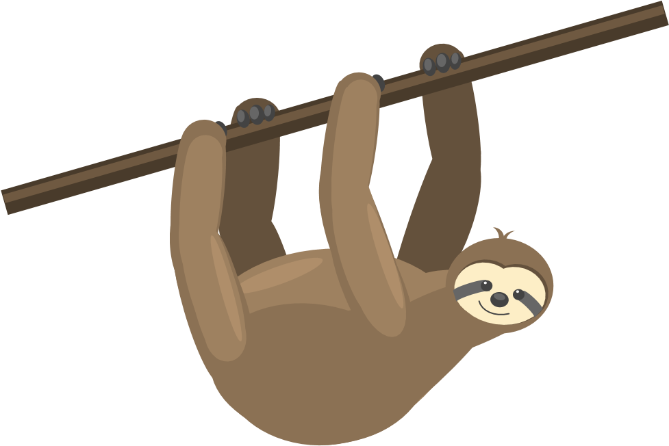 Hanging From Trees, Eating Fruits And Just Having A - Cartoon Sloth Transparent (998x744)