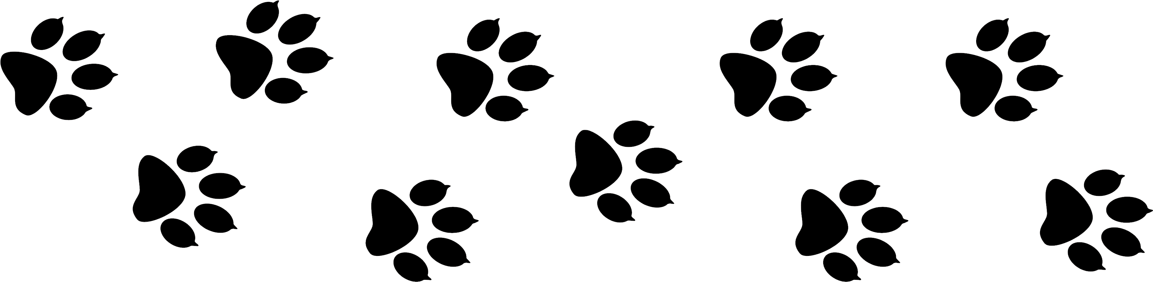 Benefits To Mobile Grooming - Dog Paw Print Header (4000x1067)