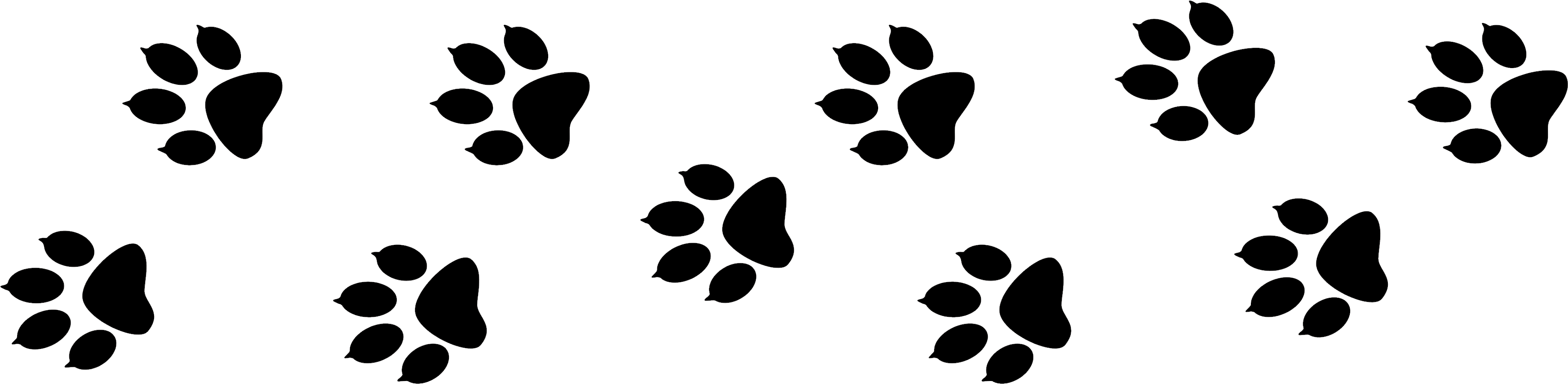 Benefits To Mobile Grooming - Cafepress You Had Me At Woof Throw Pillow (4000x1067)