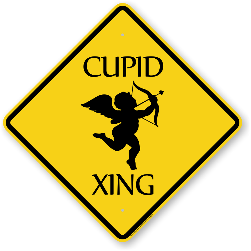 Funny Traffic Signs - Valentine's Day February 14th- Cupids, Valentine's (800x800)