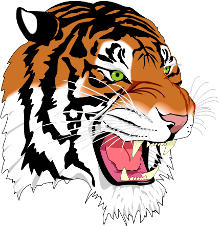 Lacrosse High School - Mansfield Senior High Tygers (445x453)
