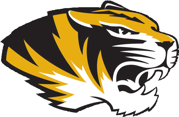Christ The King Mascot - Chapel Hill High School Logo (683x504)