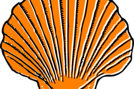 Graphic Stock Download Wallpaper Full Wallpapers The - Shell Clip Art (450x300)