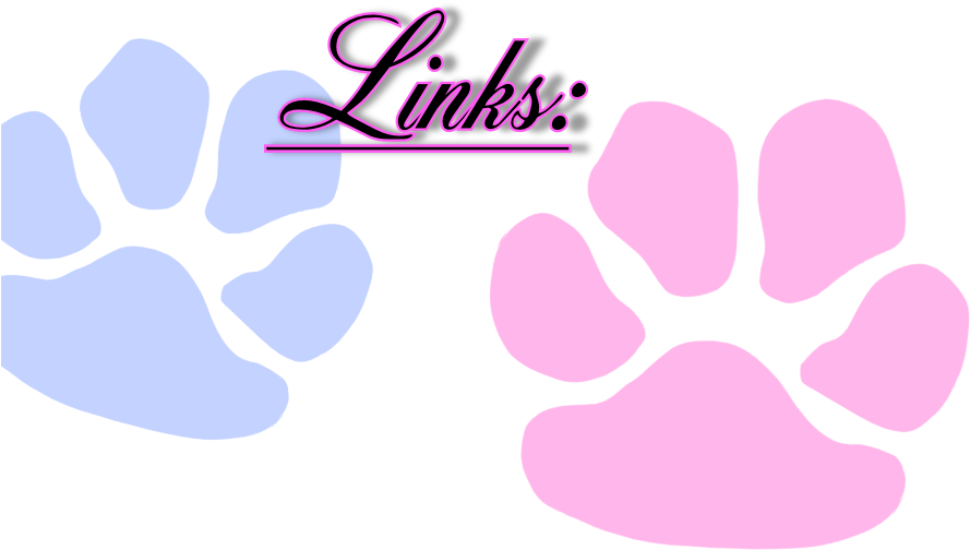 Home About Us Our Ladies Our Gents Puppies In Memoriam - Tucson (960x655)