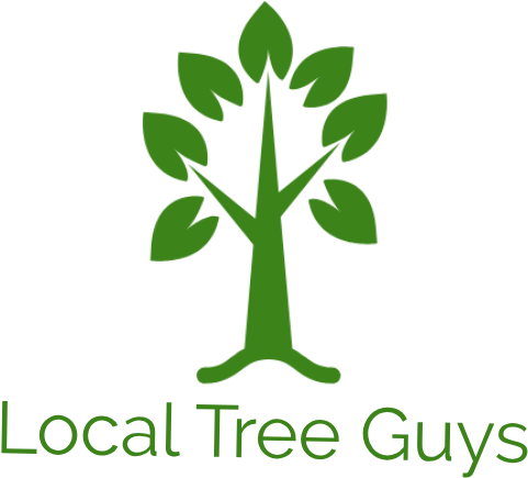 Martinez Family Tree And Lawn Service Has An Emergency - Bangladesh (600x453)