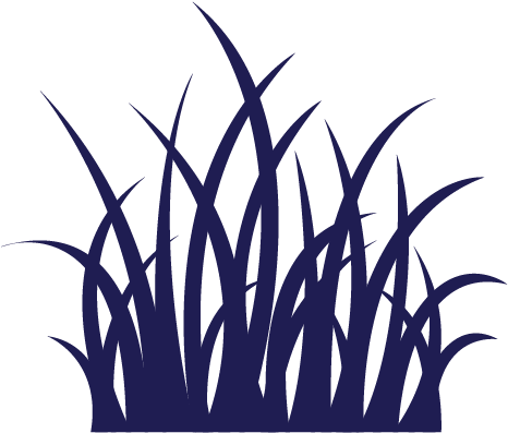 Lawn Care - Grass Clip Art (522x522)