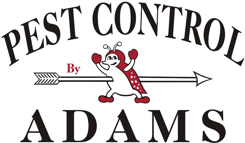 Adams Pest Control Logo (800x478)