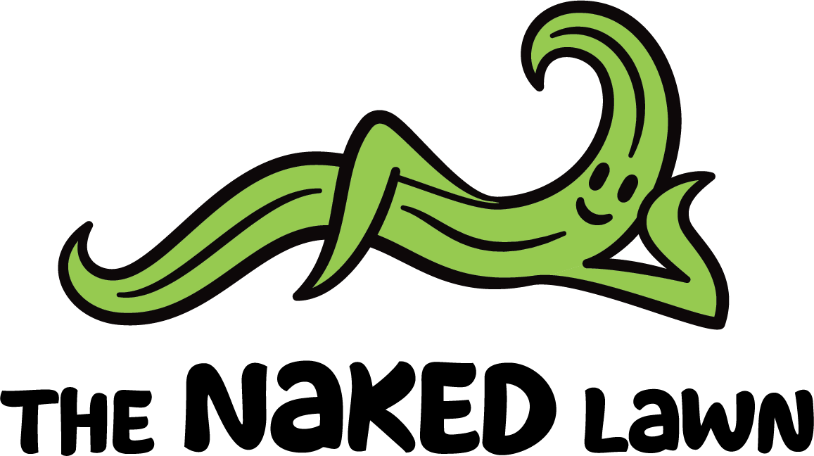 Table From A Mayday Tree - The Naked Lawn (1157x648)