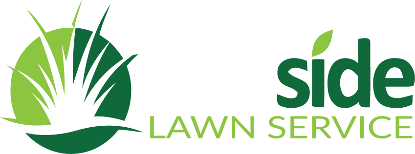 Schedule Your Free Lawn Analysis Today - Gluten (900x400)
