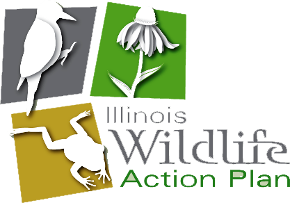 Illinois Wildlife Action Plan 2015-public Comment - Illinois State Wildlife Action Plan (417x292)
