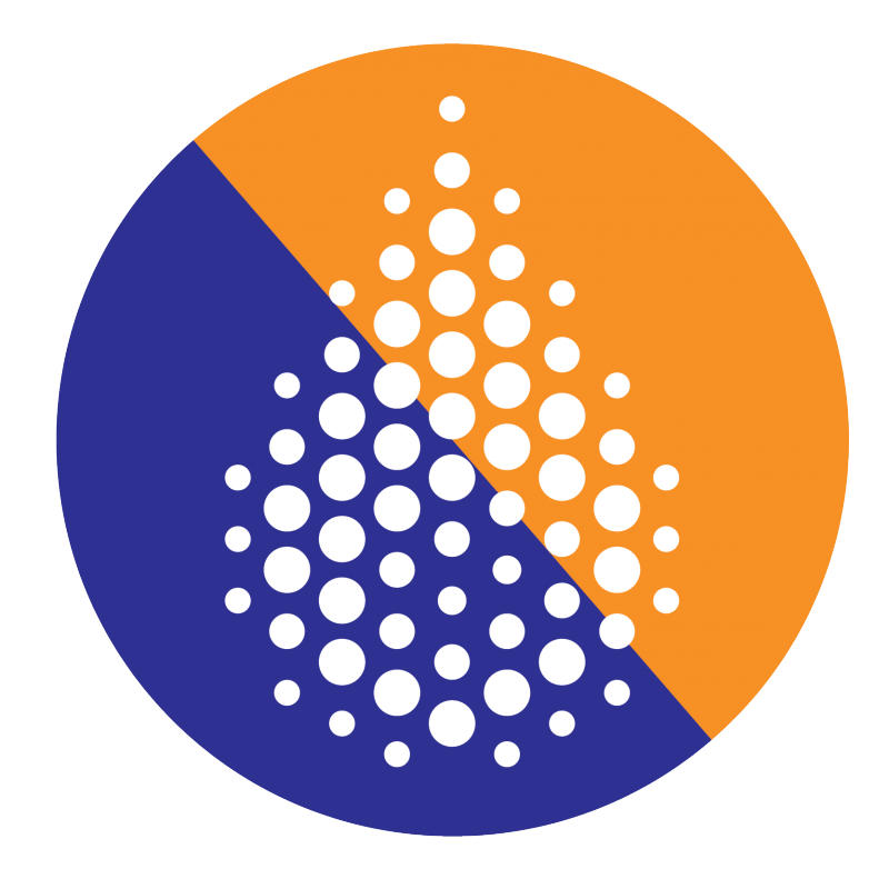 For More Information About The Institute, Contact The - Leadershape Institute (800x800)