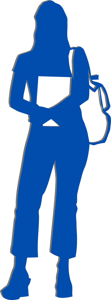 Illinois Bypass Coordination Project - Face (423x1143)