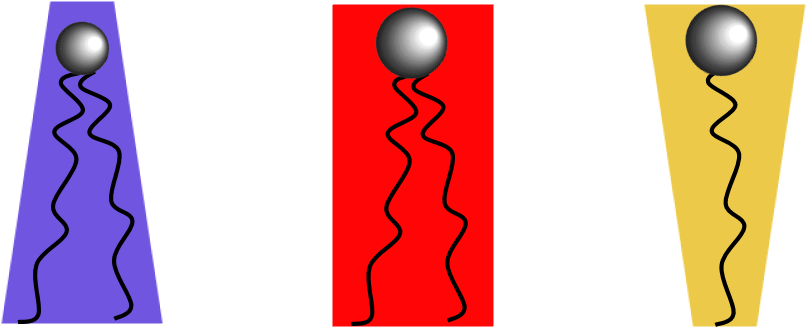 Lipid Types - Lipid (808x335)