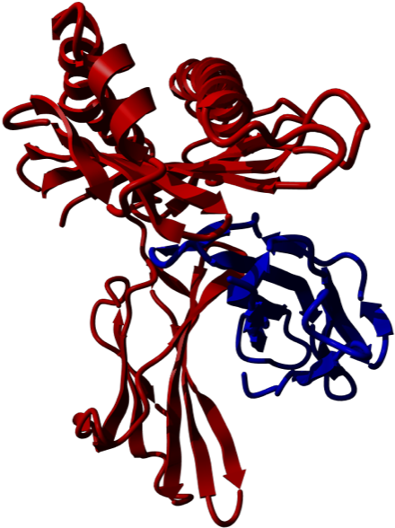 Hfe Complex - Hfe Complex (442x600)