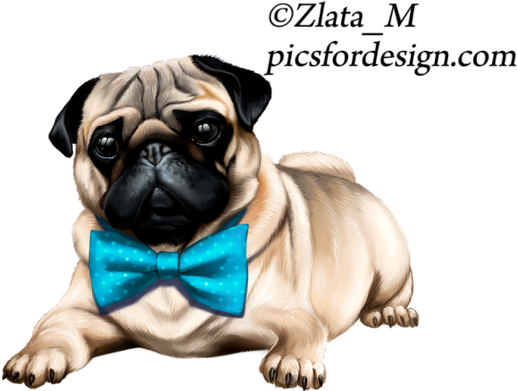 Laly, Clip Art - Dog (700x495)