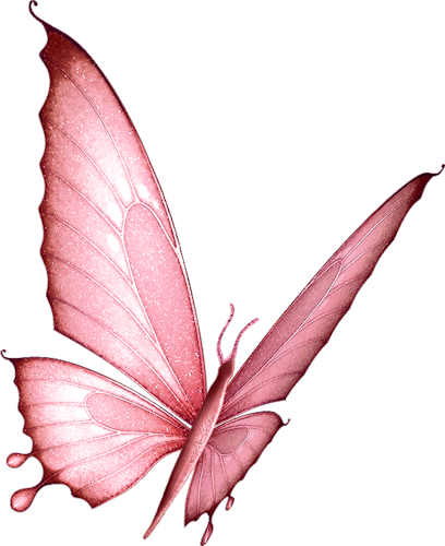 Papillons Borboletas, Arte De Borboleta, Insetos, Flora, - Papillons Borboletas, Arte De Borboleta, Insetos, Flora, (408x500)