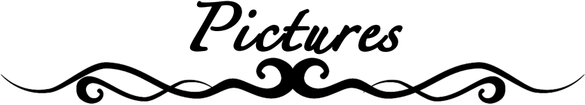 Some Pictures From Past Events - Calligraphy (1024x217)