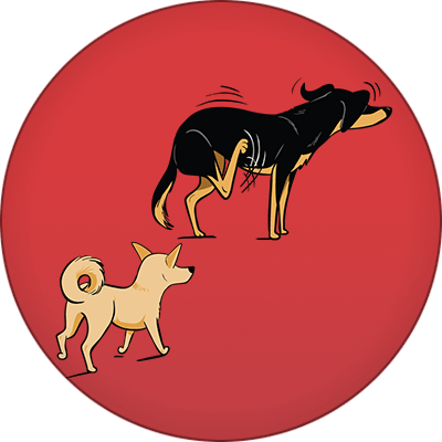 Meet Diamond - Dog (400x400)