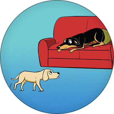 This Is Where You Will Learn About Some Common Misconceptions, - Dog (400x400)