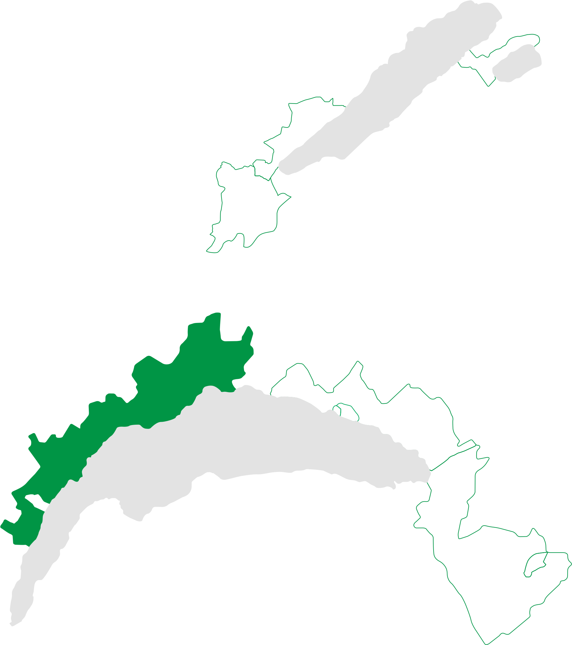 Vine Parcels Are Compartmentalized And Organized To - Vine Parcels Are Compartmentalized And Organized To (1946x2194)