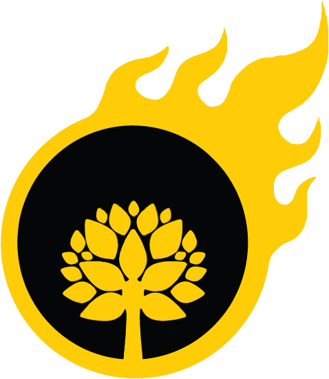 Social Networking Service (514x566)