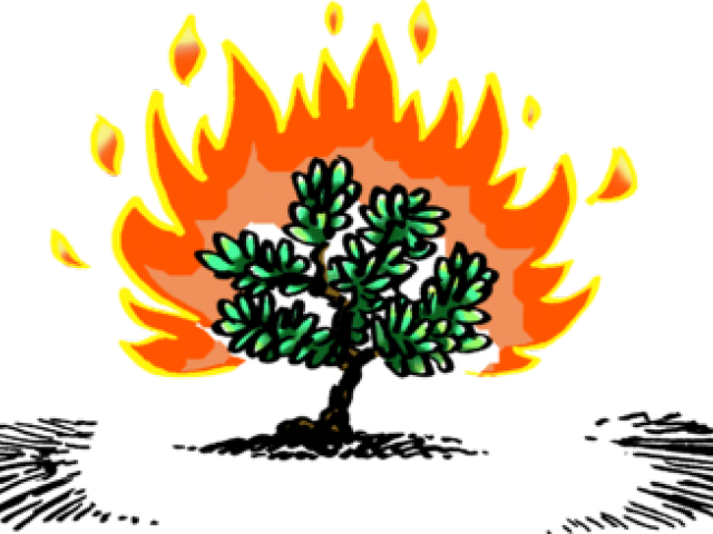 Burning Bush Clip Art (640x480)