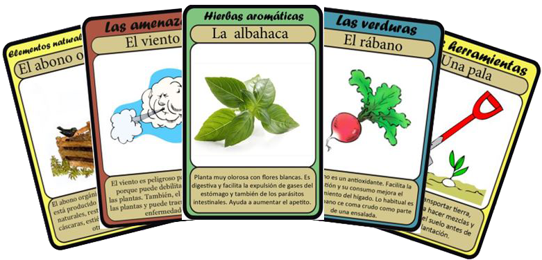 Is Oriented Around Two Main Pedagogical Axes - Is Oriented Around Two Main Pedagogical Axes (780x393)