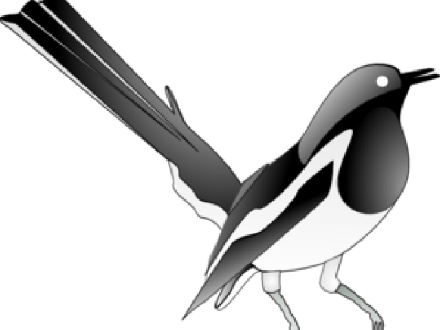 Robin Clipart Vector - Magpie Robin Clipart Black And White (640x480)