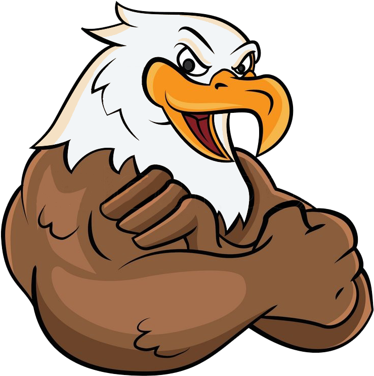 Eagles - Cartoon Bald Eagle (858x821)