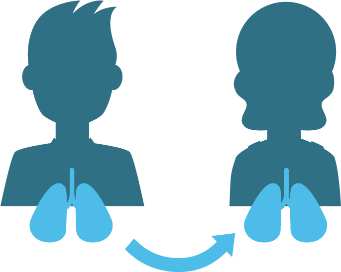 Hla Matching - Human Leukocyte Antigen (687x570)